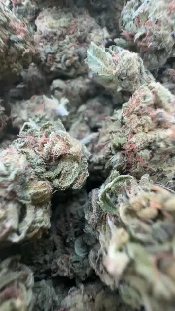 Blueberry Mojito — Flower, Divine Toke Detroit, thumbnail 6